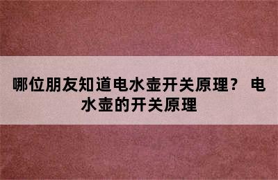 哪位朋友知道电水壶开关原理？ 电水壶的开关原理